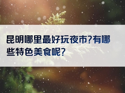 昆明哪里最好玩夜市？有哪些特色美食呢？
