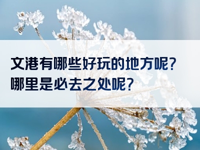 文港有哪些好玩的地方呢？哪里是必去之处呢？