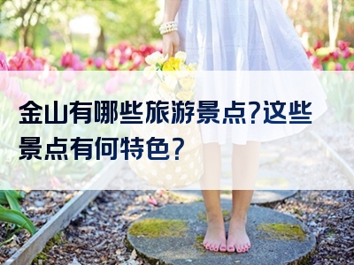 金山有哪些旅游景点？这些景点有何特色？