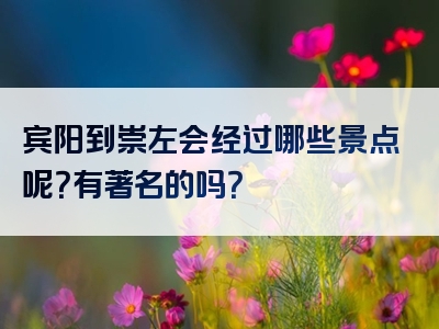 宾阳到崇左会经过哪些景点呢？有著名的吗？
