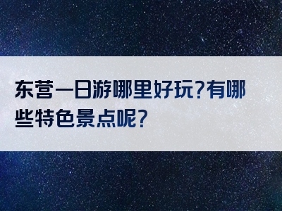 东营一日游哪里好玩？有哪些特色景点呢？