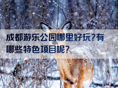 成都游乐公园哪里好玩？有哪些特色项目呢？