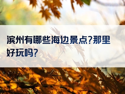 滨州有哪些海边景点？那里好玩吗？