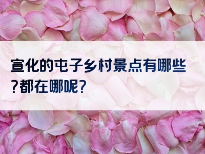 宣化的屯子乡村景点有哪些？都在哪呢？