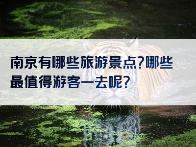 南京有哪些旅游景点？哪些最值得游客一去呢？