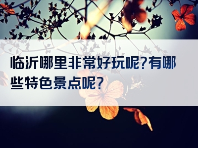 临沂哪里非常好玩呢？有哪些特色景点呢？