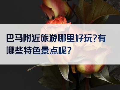 巴马附近旅游哪里好玩？有哪些特色景点呢？