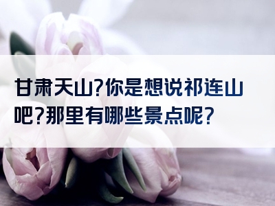 甘肃天山？你是想说祁连山吧？那里有哪些景点呢？