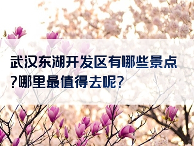 武汉东湖开发区有哪些景点？哪里最值得去呢？