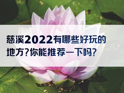 慈溪2022有哪些好玩的地方？你能推荐一下吗？