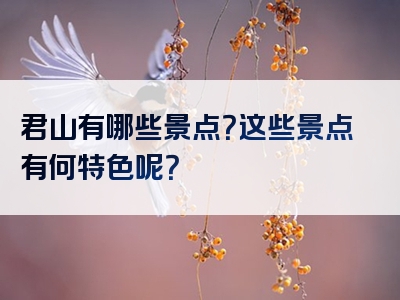 君山有哪些景点？这些景点有何特色呢？