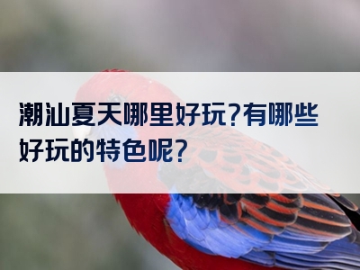 潮汕夏天哪里好玩？有哪些好玩的特色呢？