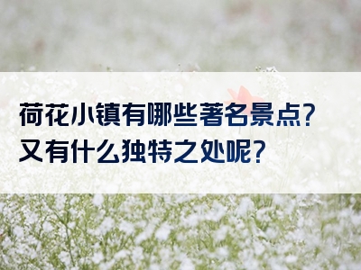 荷花小镇有哪些著名景点？又有什么独特之处呢？