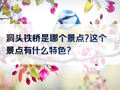 洞头铁桥是哪个景点？这个景点有什么特色？