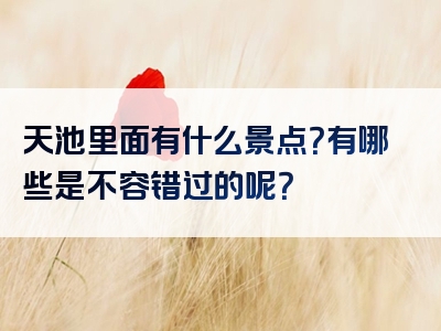 天池里面有什么景点？有哪些是不容错过的呢？