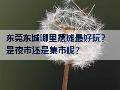 东莞东城哪里摆摊最好玩？是夜市还是集市呢？
