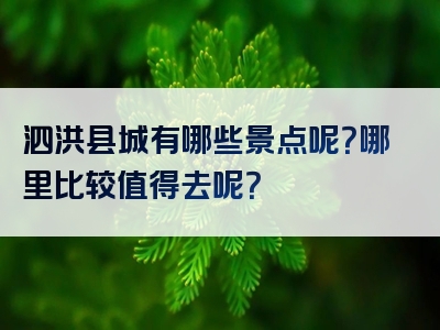 泗洪县城有哪些景点呢？哪里比较值得去呢？