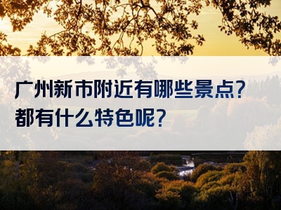 广州新市附近有哪些景点？都有什么特色呢？