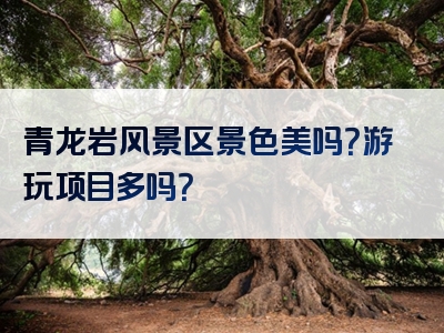 青龙岩风景区景色美吗？游玩项目多吗？