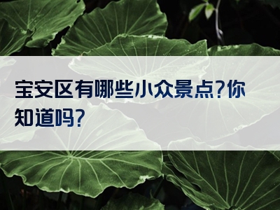 宝安区有哪些小众景点？你知道吗？