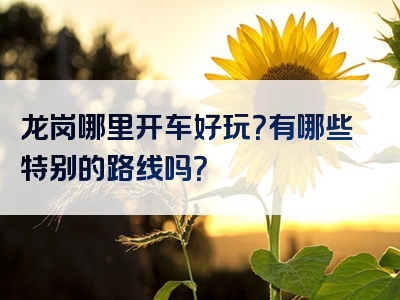 龙岗哪里开车好玩？有哪些特别的路线吗？