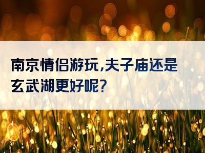 南京情侣游玩，夫子庙还是玄武湖更好呢？