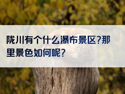 陇川有个什么瀑布景区？那里景色如何呢？
