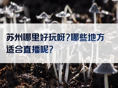 苏州哪里好玩呀？哪些地方适合直播呢？
