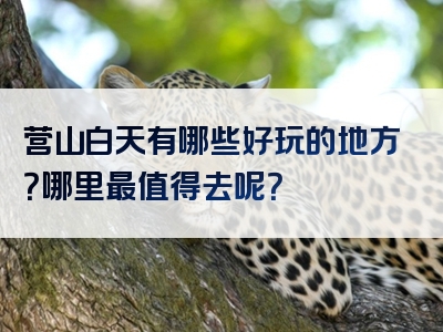 营山白天有哪些好玩的地方？哪里最值得去呢？