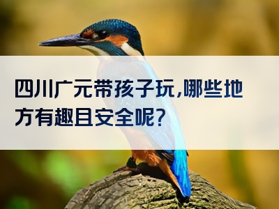 四川广元带孩子玩，哪些地方有趣且安全呢？