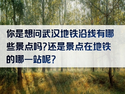 你是想问武汉地铁沿线有哪些景点吗？还是景点在地铁的哪一站呢？