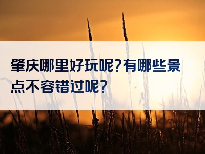 肇庆哪里好玩呢？有哪些景点不容错过呢？