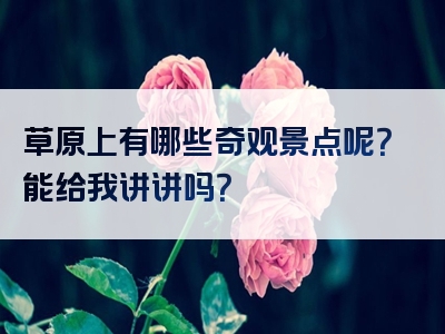 草原上有哪些奇观景点呢？能给我讲讲吗？