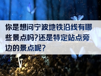 你是想问宁波地铁沿线有哪些景点吗？还是特定站点旁边的景点呢？