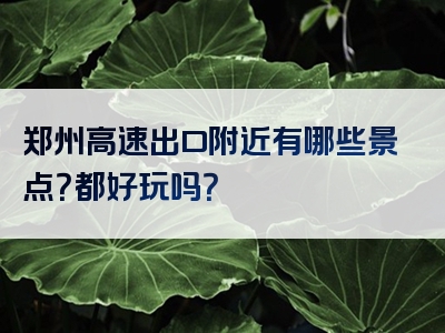 郑州高速出口附近有哪些景点？都好玩吗？
