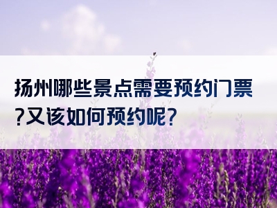 扬州哪些景点需要预约门票？又该如何预约呢？