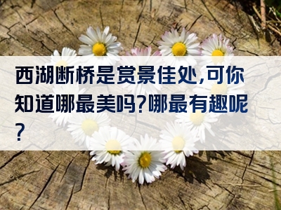 西湖断桥是赏景佳处，可你知道哪最美吗？哪最有趣呢？