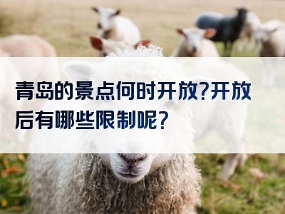 青岛的景点何时开放？开放后有哪些限制呢？