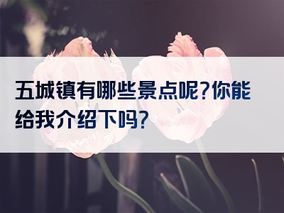 五城镇有哪些景点呢？你能给我介绍下吗？