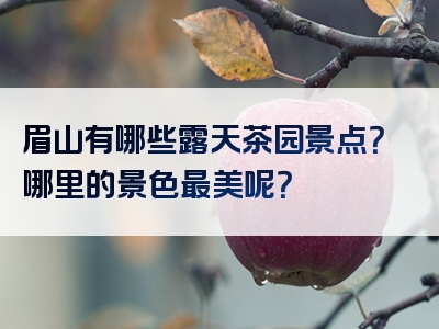 眉山有哪些露天茶园景点？哪里的景色最美呢？