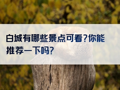 白城有哪些景点可看？你能推荐一下吗？