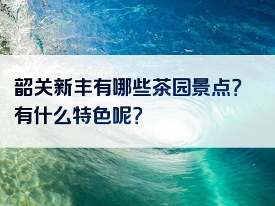 韶关新丰有哪些茶园景点？有什么特色呢？