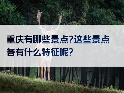 重庆有哪些景点？这些景点各有什么特征呢？