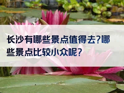 长沙有哪些景点值得去？哪些景点比较小众呢？
