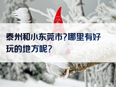 泰州和小东莞市？哪里有好玩的地方呢？