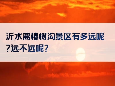 沂水离椿树沟景区有多远呢？远不远呢？