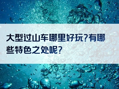 大型过山车哪里好玩？有哪些特色之处呢？