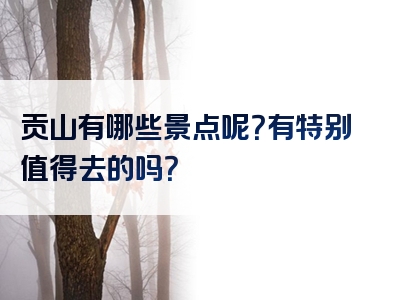 贡山有哪些景点呢？有特别值得去的吗？