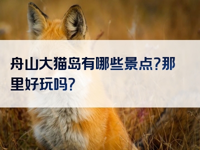 舟山大猫岛有哪些景点？那里好玩吗？
