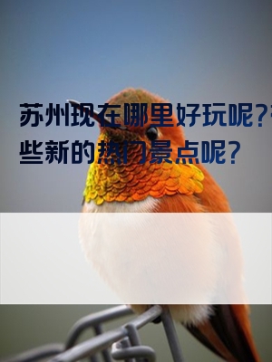 苏州现在哪里好玩呢？有哪些新的热门景点呢？